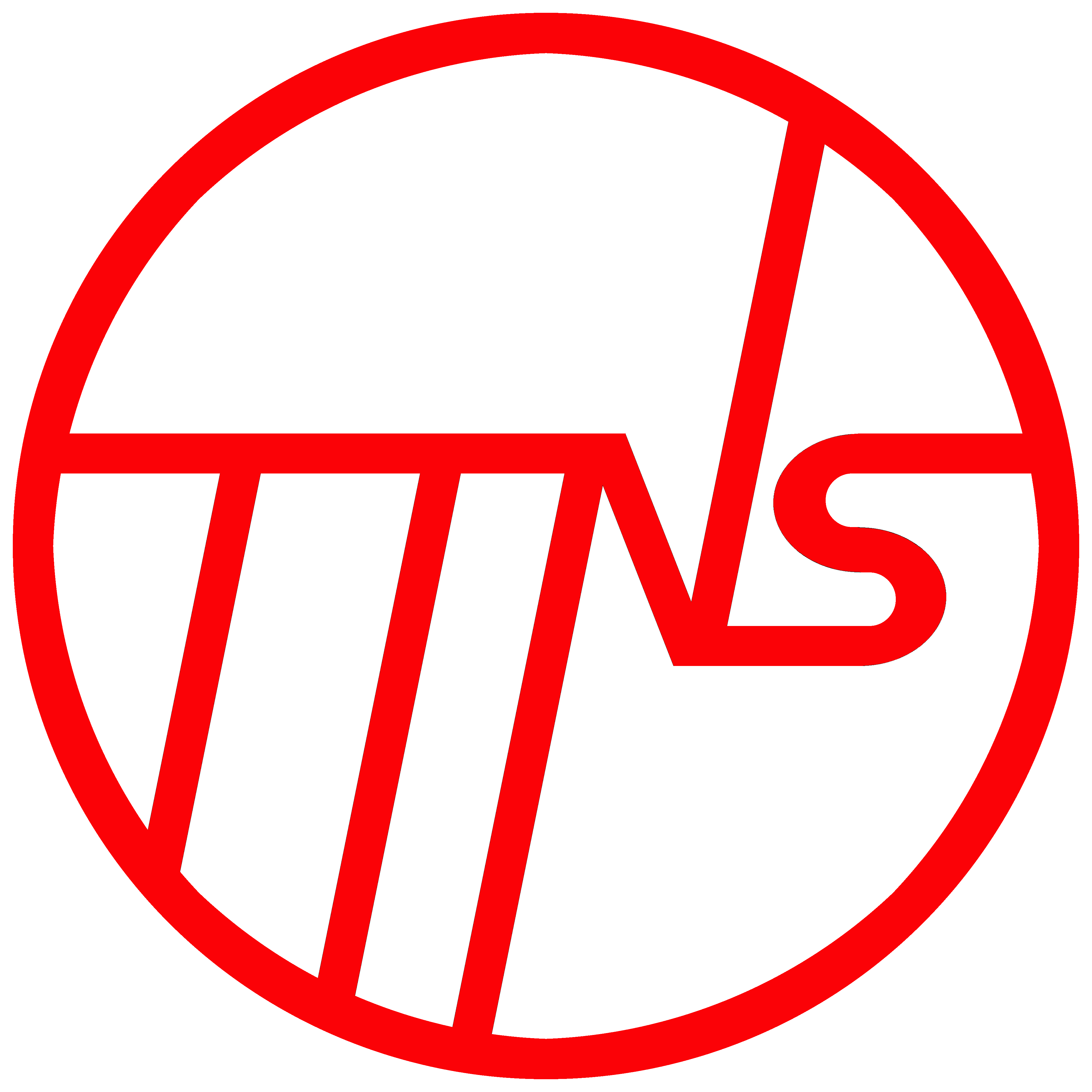 TTNS Logo